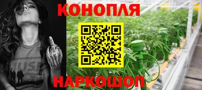 мет Кингисепп