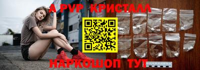 мет Кингисепп