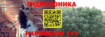 мет Кингисепп