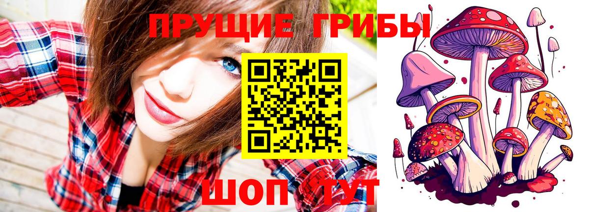 Псилоцибиновые грибы Psilocybine cubensis  что такое   Фролово  Псилоцибиновые грибы прущие грибы  Вход с VPN 